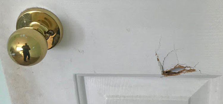 interior door hole repair Nipomo